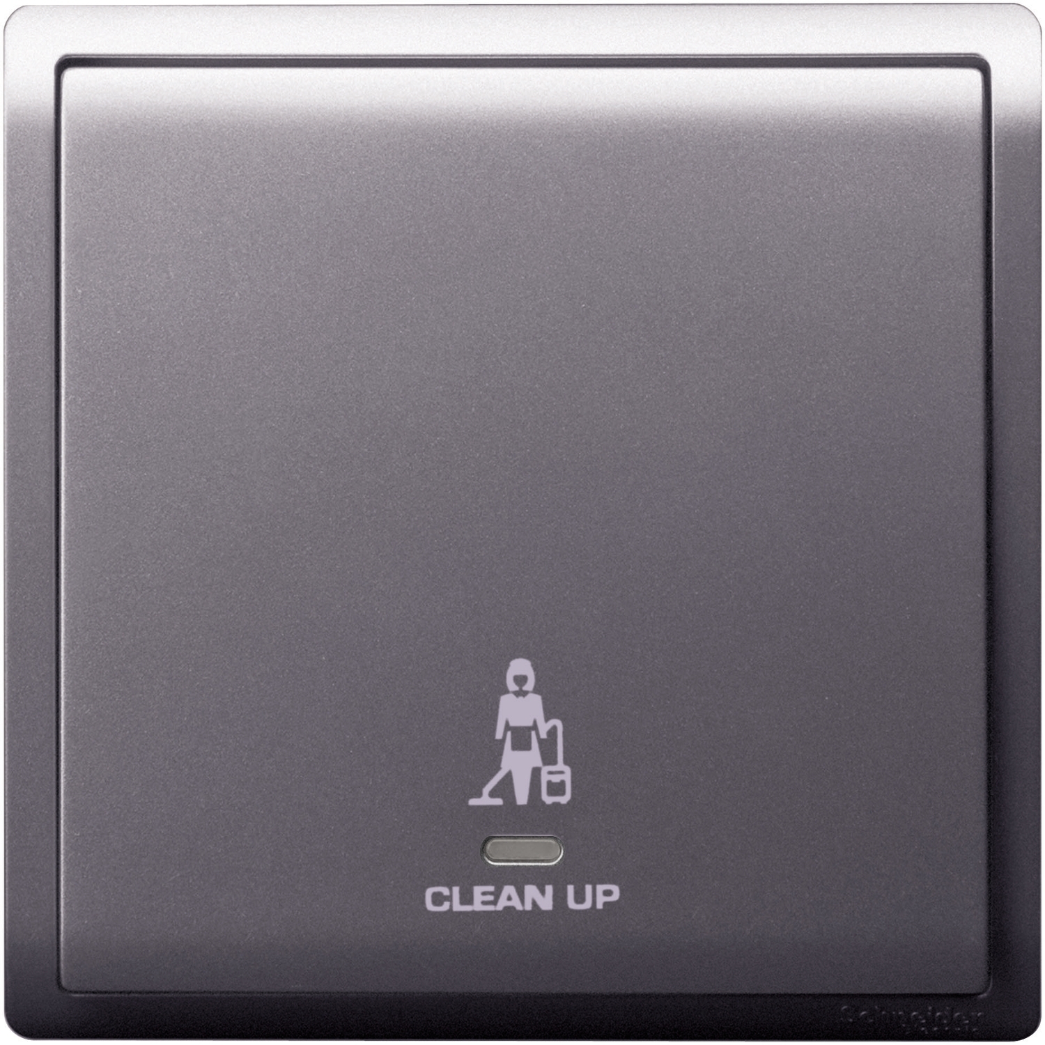 Schneider Switch Pieno E8231CS_LS