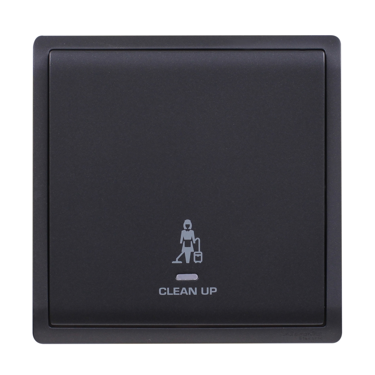 Schneider Switch Pieno E8231CS_MB