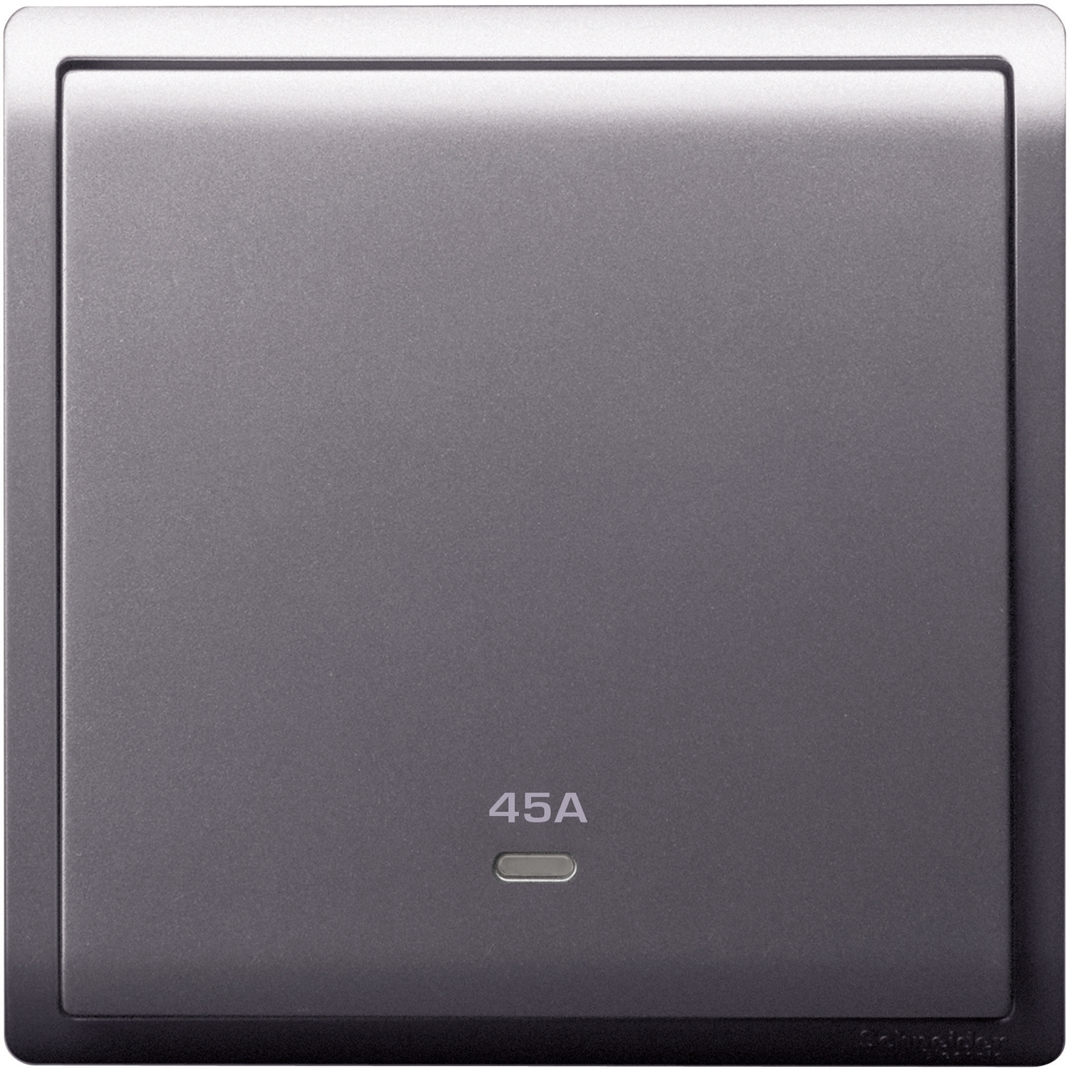 Schneider Switch Pieno E8231D45N_LS