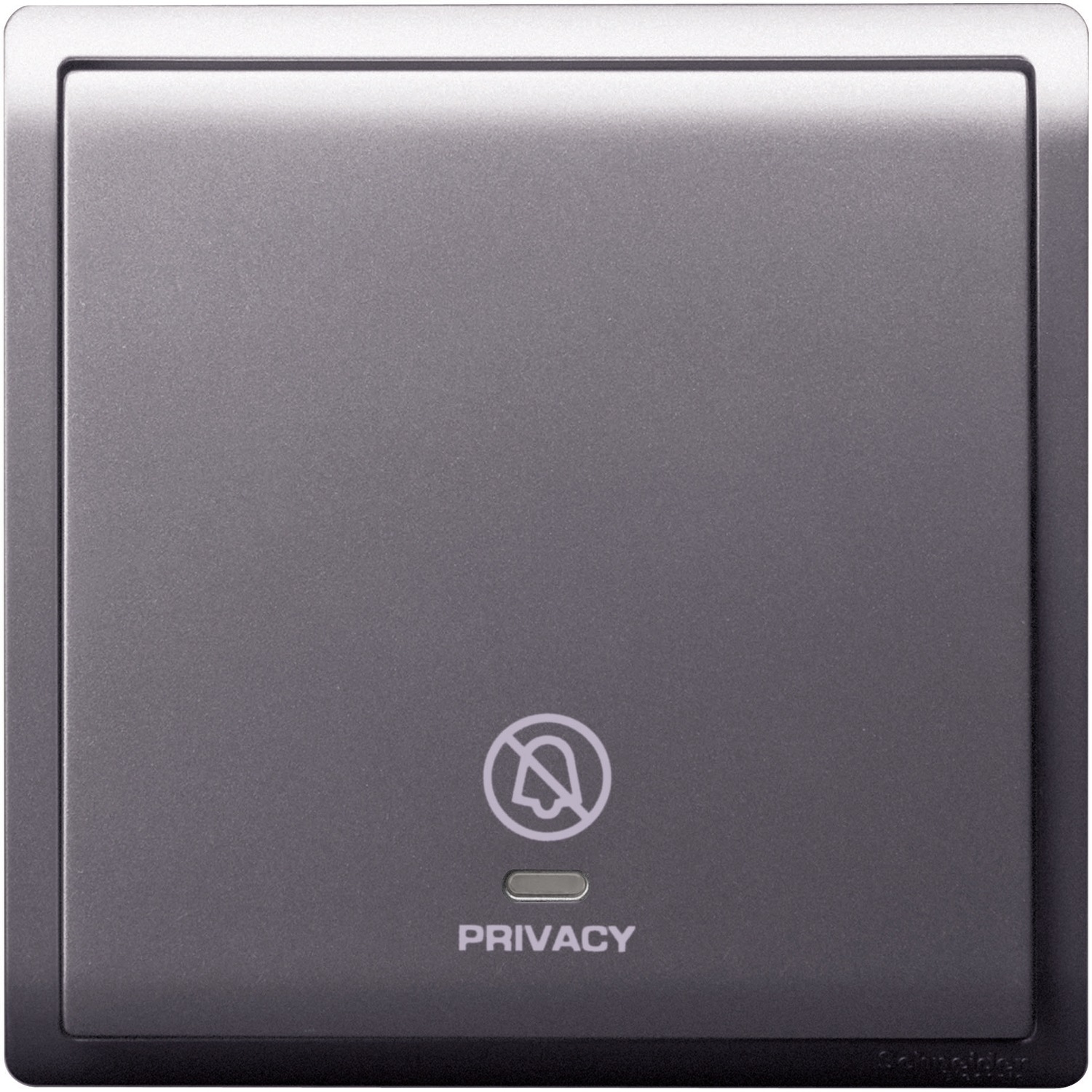 Schneider Switch Pieno E8231DS_LS