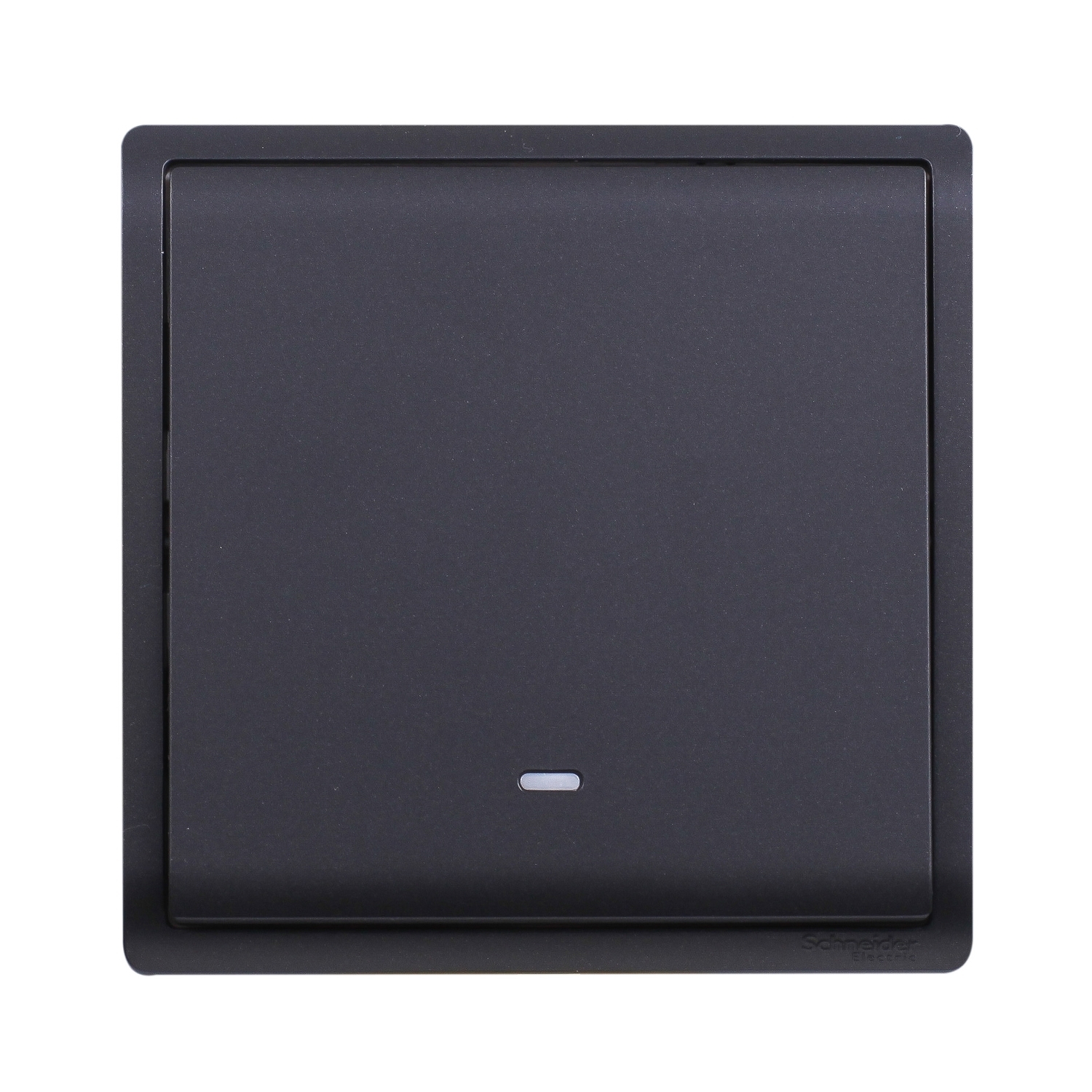 Schneider Switch Pieno E8231PRL1F_MB