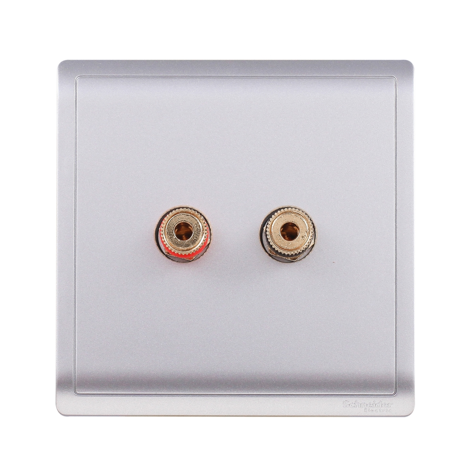 Schneider Speaker connection Pieno E8231SC_AS