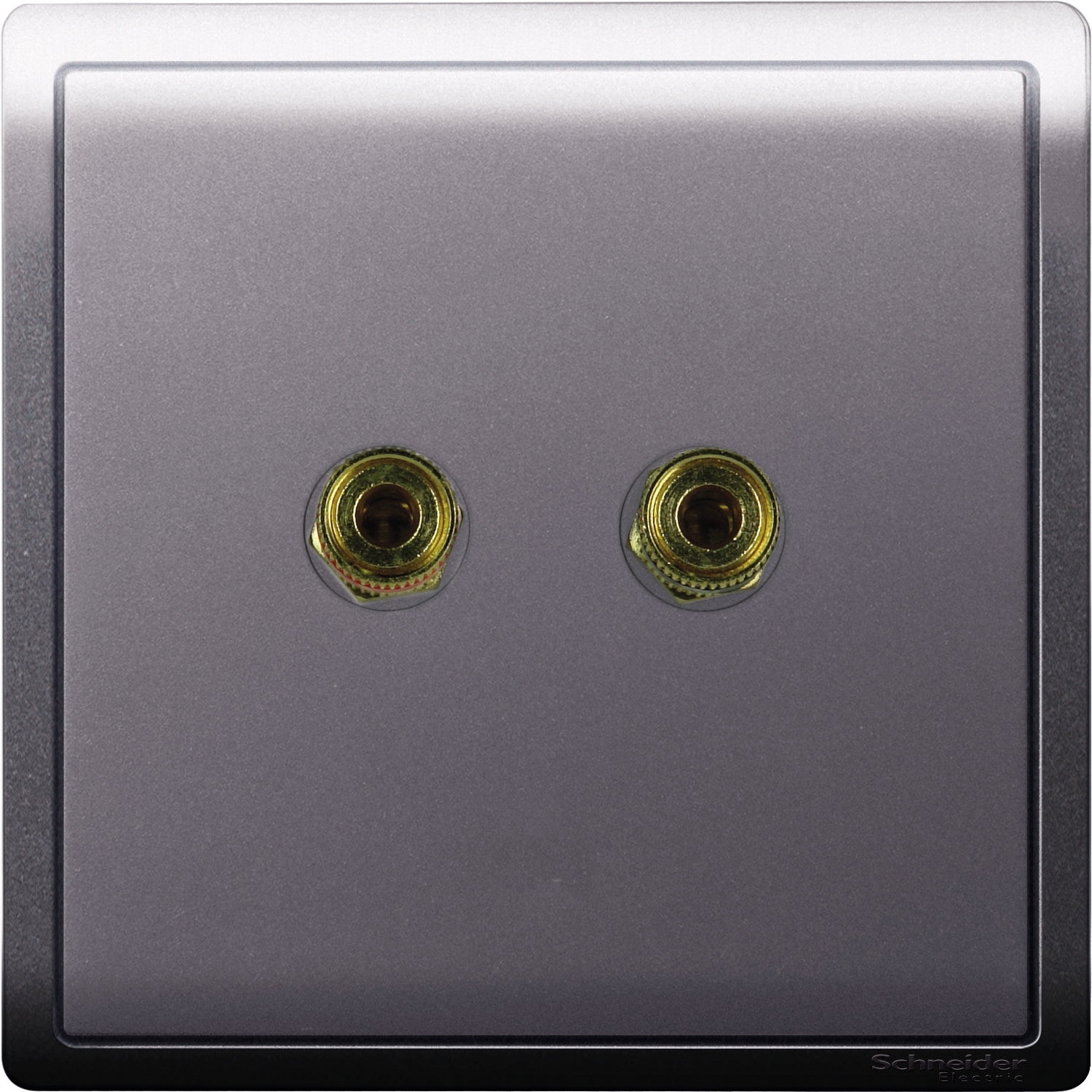 Schneider Speaker connection Pieno E8231SC_LS