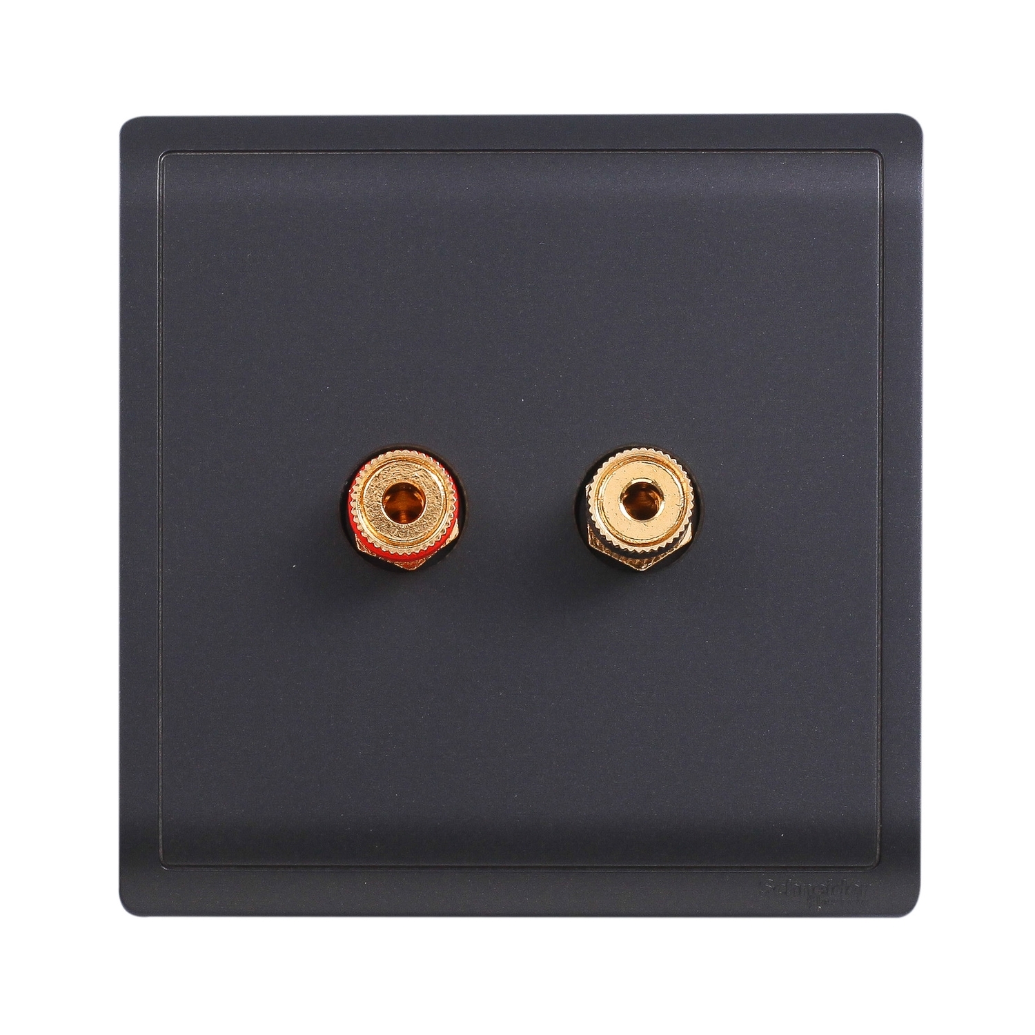 Schneider Speaker connection Pieno E8231SC_MB