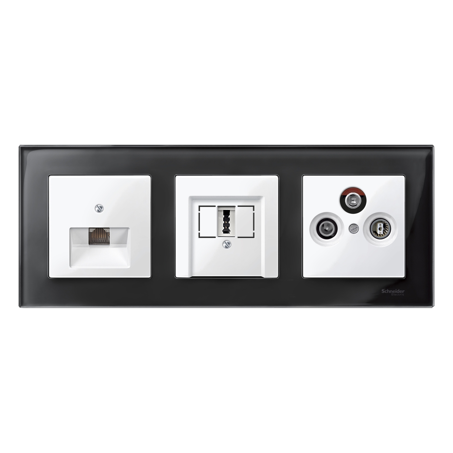 Schneider Cover plate Merten MTN296019