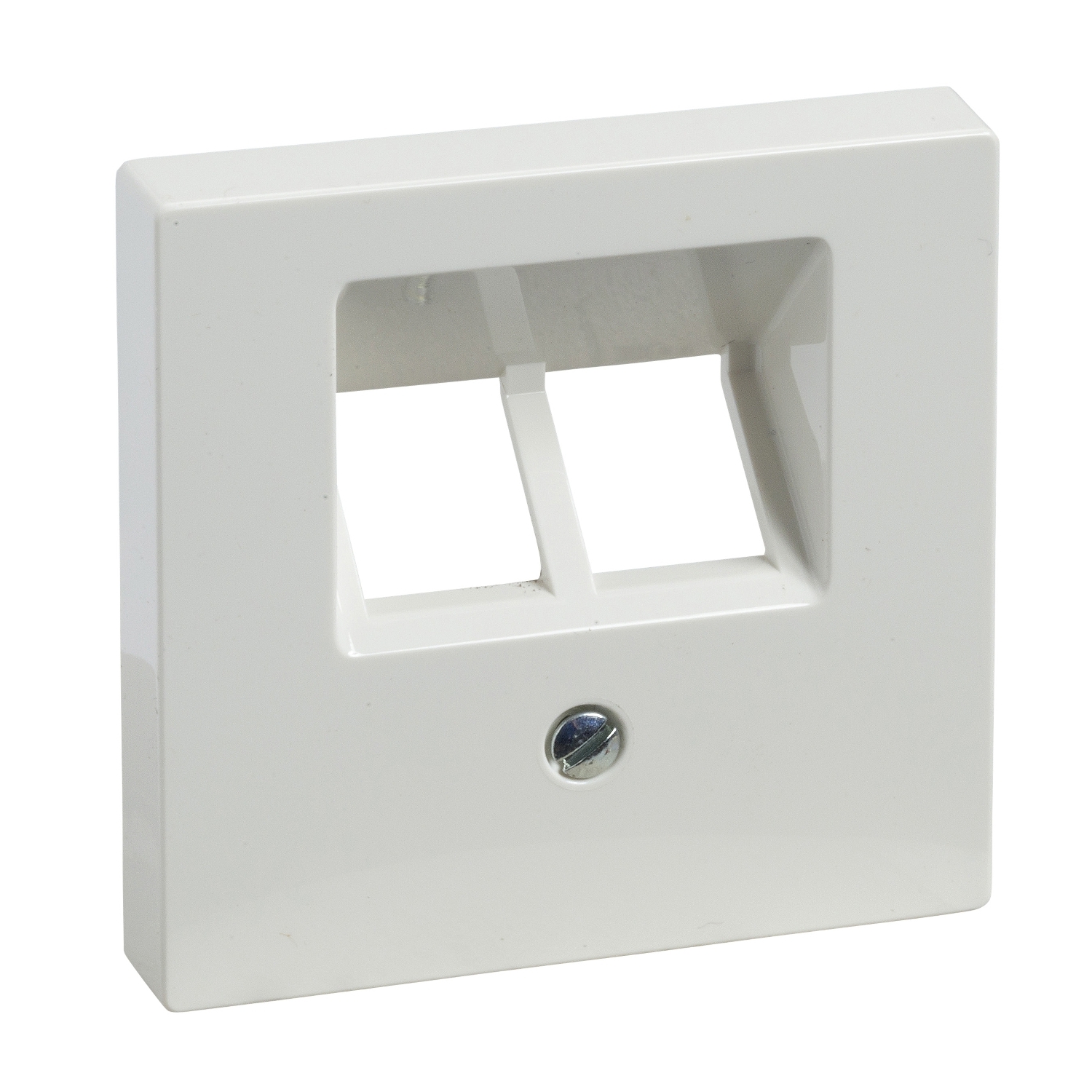 Schneider Central plate  MTN296119