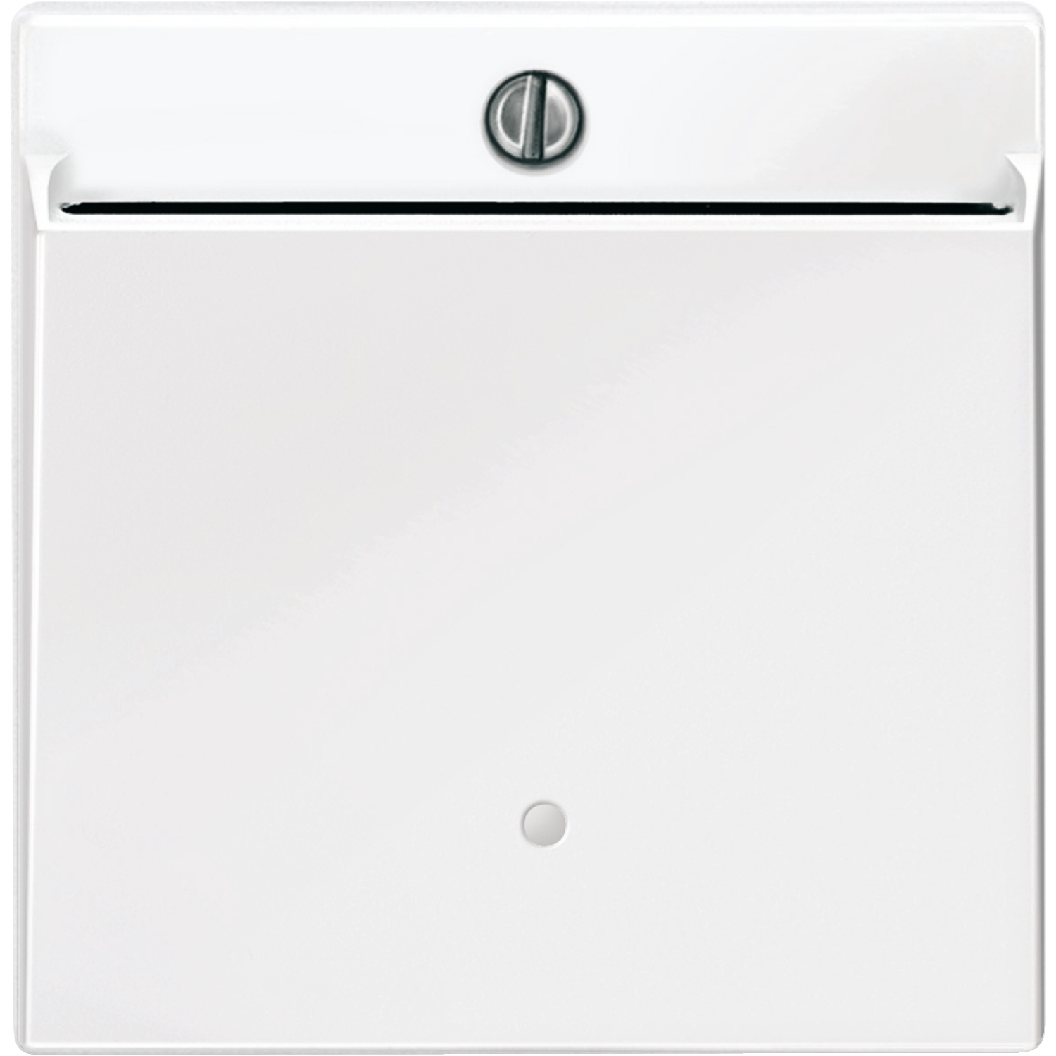 Schneider Cover plate Merten System M MTN315619