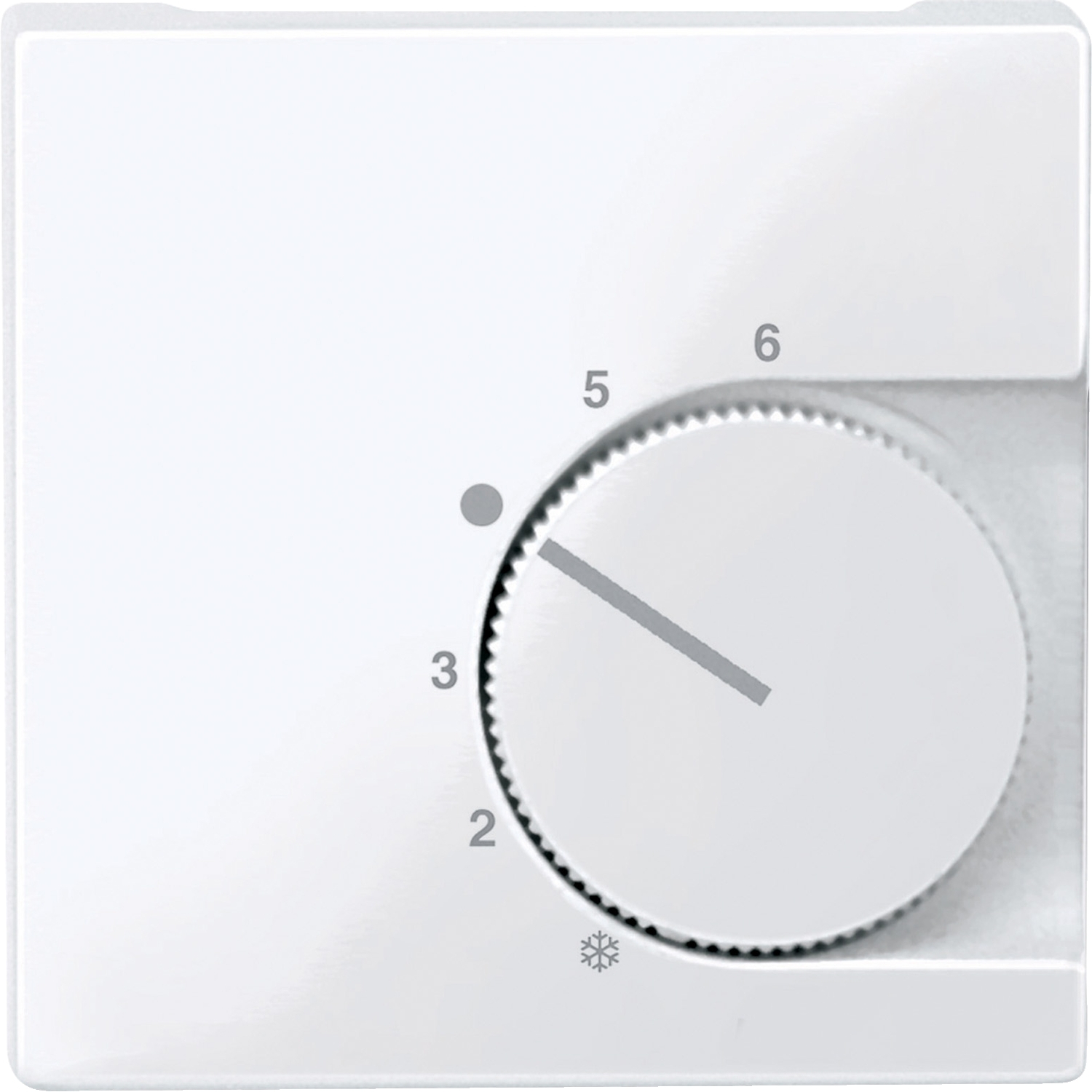 Schneider Cover plate Merten MTN534725