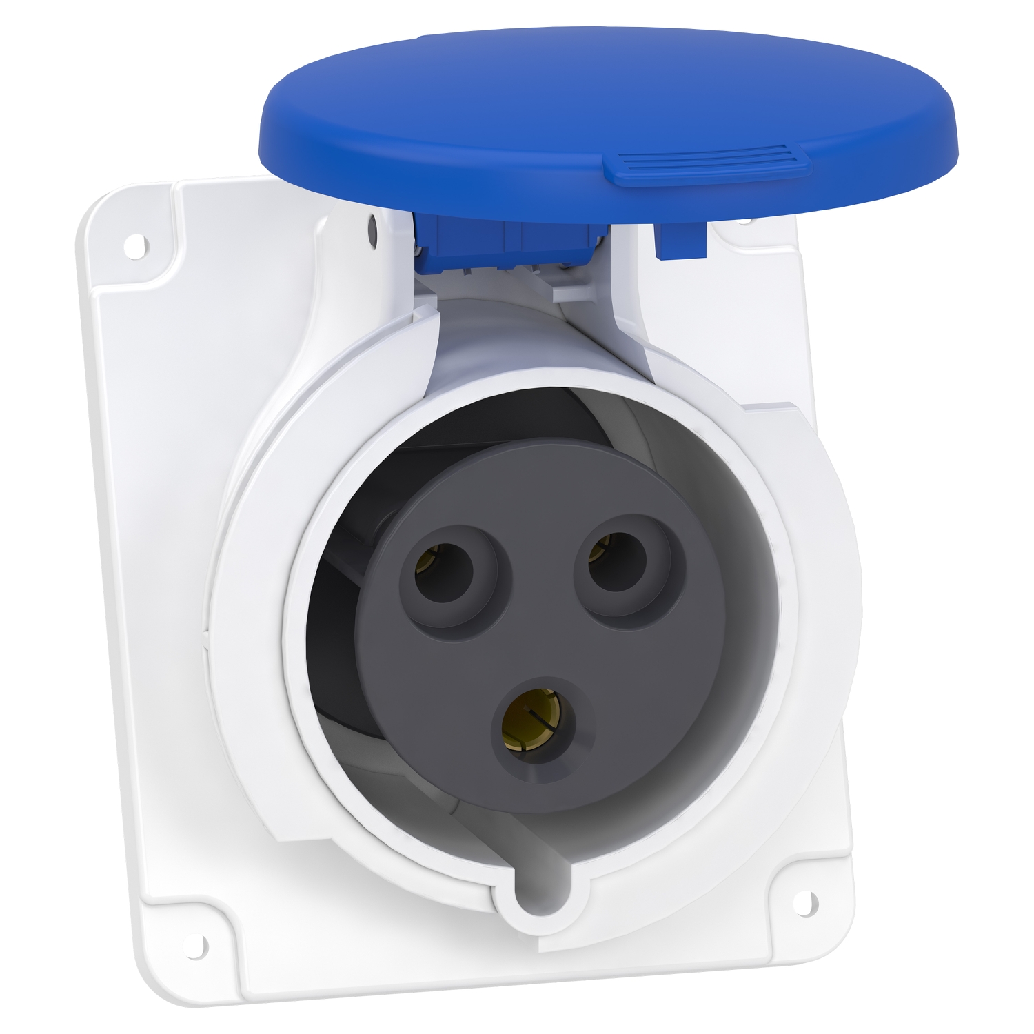 Schneider Socket Mureva PKF32F423